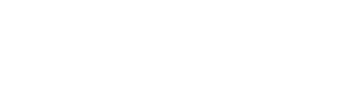 Hizoo